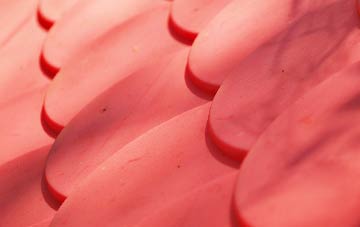 Dre Fach plastic roof costs