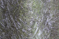 Dre Fach fibreglass roof work